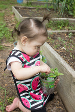 Load image into Gallery viewer, Summer Stripes - Watermelon Bapron