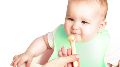 Chewy Spoons Mama Yay! Chewy Spoons Blue & Grey,Mint & Teal,Peach & Pink Bib Bapron BapronBaby BLW Baby Led Weaning Toddler Feeding